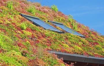 Llanstadwell living roof systems